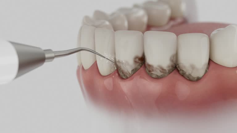 Reliable Dental contractor in Larimore, ND by Dentist Open Now